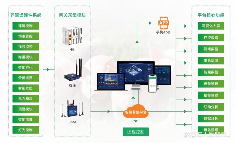 搬家软件开发选购指南：让家居移动变得轻松便捷